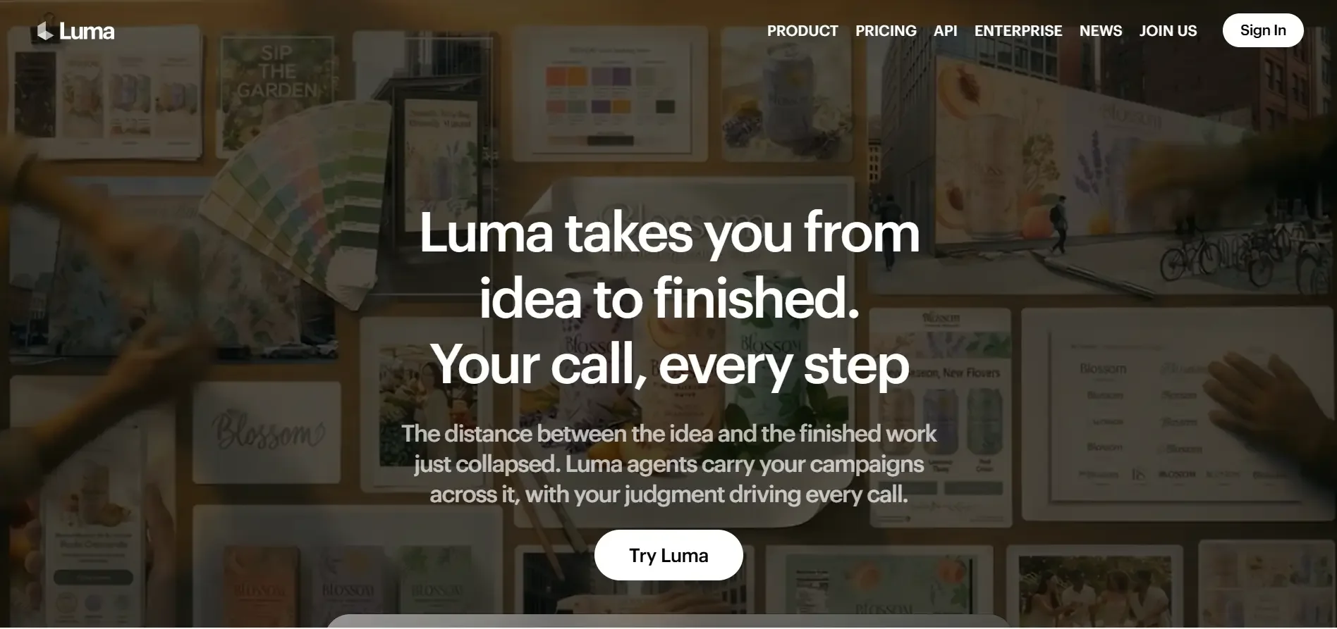 Luma AI interface screenshot